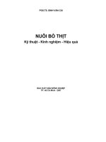 Nuôi bò thịt kỹ thuật, kinh nghiệm, hiệu quả