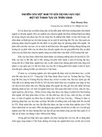 NGHIÊN CỨU VIỆT NAM TỪ GÓC ĐỘ KHU VỰC HỌC MỘT SỐ THÀNH TỰU VÀ TRIỂN VỌNG