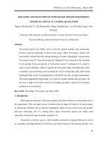 ISOLATION AND SELECTION OF TETRASELMIS STRAINS FOR FEEDING GEO-DUCK LARVAE AT VANDON, QUANG NINH