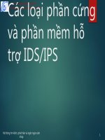 Các loại phần cứng và phần mềm hỗ trợ IDS IPS