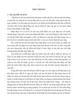 Nghiên cứu và tìm ra một loại máy đo góc nghiêng bánh răng chuyên dùng kiểu cơ điện tử, kết quả đo hiển thị số.