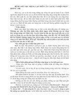 BỆNH LOÉT SỌC MIỆNG CẠO TRÊN CÂY CAO SU VÀ BIỆN PHÁP PHÒNG  TRỊ