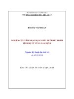 luận án tiến sĩ địa chất nghiên cứu xâm nhập mặn nước dưới đất trầm tích đệ tứ vùng nam định