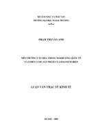 Luận văn Môi trường văn hóa trong marketing quốc tế và chiến lược sản phẩm của doanh nghiệp