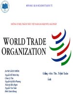 NHỮNG CƠ HỘI, THÁCH THỨC VIỆT NAM GIA NHẬP WTO, GIẢI PHÁP