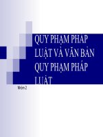 QUY PHẠM PHÁP LUẬT VÀ VĂN BẢN QUY PHẠM PHÁP LUẬT