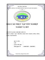 BÁO cáo THỰC tập tốt NGHIỆP CHUYÊN NGÀNH CHẾ BIẾN món ăn tại TRƯỜNG mầm NON TƯỢNG LĨNH  