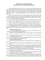 Tăng cường các biện pháp giám sát ngăn chặn lây lan của rệp sáp bột hồng hại sắn