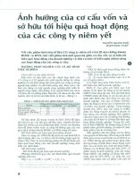 Ảnh hưởng của cơ cấu vốn sở hữu tới hiệu quả hoạt động của các công ty niêm yết