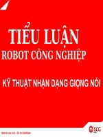 KỸ THUẬT NHẬN DẠNG GIỌNG NÓI