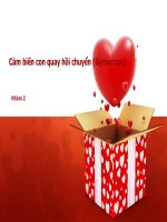 Cảm biến con quay hồi chuyển (Gyroscope)