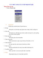 CÁC CHỨC NĂNG XỬ LÝ TỆP NHẬP SỐ LIỆU