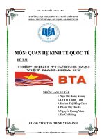 TIỂU LUẬN MÔN QUAN HỆ KINH TẾ QUỐC TẾ HIỆP ĐỊNH BTA