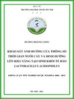 Khảo sát ảnh hưởng của thông số thời gian nuôi cấy và dinh dưỡng lên khả năng tạo sinh khối tế bào lactobacillus acidophilus
