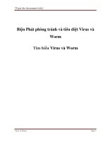 An ninh mang CEH VIRUS VÀ WORM