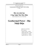 Báo cáo môn học Công nghệ nhà máy điện Geothermal Power – Địa nhiệt điện
