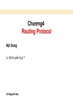 tìm hiểu Routing protocol