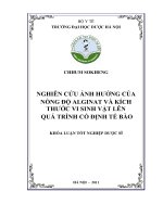 Nghiên cứu ảnh hưởng của nồng độ alginat và kích thước vi sinh vật lên quá trình cố định tế bào