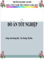 Nghiên cứu, thiết kế, chế tạo hệ thống trao đổi nhiệt cho quá trình sấy đối lưu