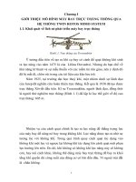 MÔ HÌNH TOÁN HỌC CỦA TWIN ROTOS MIMO SYSTEM