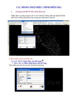 CÁC PHƯƠNG PHÁP HIỆU CHỈNH ĐIỂM MIA