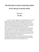 Tiểu luận vệ sinh an toàn thực phẩm phụ gia trong thực phẩm