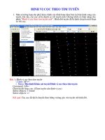 ĐỊNH VỊ CỌC THEO TIM TUYẾN