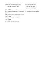 Đề thi khảo sát chất lượng đầu năm lớp 6 môn ngữ văn năm 2013   2014 trường THCS bình châu, quảng ngãi