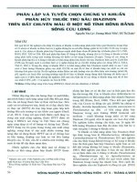 Phân lập và tuyển chọn chủng vi khuẩn phân hủy thuốc trừ sâu Diazinon trên đất chuyên màu ở một số tỉnh đồng bằng sông Cửu Long