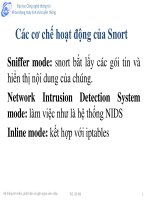 Các cơ chế hoạt động của snort