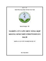 Nghiên cứu lên men sinh tổng hợp kháng sinh nhờ streptomyces 166  28