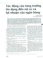 Tác động của tăng trưởng tín dụng đến rủi ro và lợi nhuận của ngân hàng