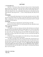 tóm tắt luận văn “Thiết kế quy trình công nghệ và chế tạo thử nghiệm cánh turbine trục đứng công suất 300W bằng vật liệu composite