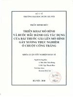 Triển khai mô hình và bước đầu dánh giá tác dụng của bài thuốc GX1 lên mô hình gãy xương thực nghiệm ở chuột cống trắng