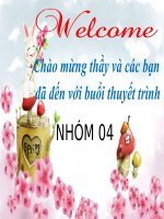 thuyết trình về đầu tư theo mô hình PPP