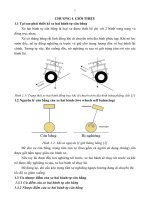 THIẾT kế và mô PHỎNG bộ điều KHIỂN PID THÍCH NGHI TRỰC TIẾP dựa TRÊN cơ sở mô HÌNH mẫu để điều KHIỂN XE HAI BÁNH tự cân BẰNG 