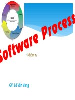 Software Process