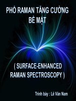 Quang phổ Raman tăng cường bề mặt