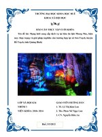 Thực trạng và giải pháp mạng lưới cung cấp dịch vụ tại khu du lịch phong nha hiện nay