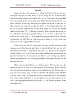 Anot hóa chế tạo ống nano TiO2 bằng phương pháp Anot hóa và phân tích các đặc trưng cấu trúc, hình thái bề mặt vật liệu