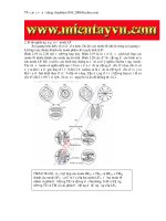 Quang học ứng dụng - Mode phân cực tuyến tính