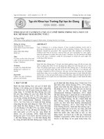 Tổng quan về vai trò của trà và cà phê trong phòng ngừa nguy cơ mắc bệnh đái tháo đường type 2