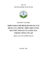 Triển khai mô hình đánh giá tác dụng của thuốc trên khả năng bài tiết insulin của đảo tụy chuột cống cô lập