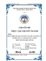 Hoàn thiện kế toán nguyên vật liệu tại Công ty cổ phần đầu tư thương mại và phát triển thương hiệu Đài Bắc