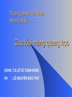 Vật lý màng mỏng -Các loại màng quang học