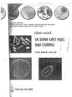 GIÁO TRÌNH VI SINH VẬT HỌC ĐẠI CƯƠNG 