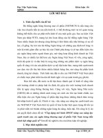 Ứng dụng mô hình SWOT nâng cao năng lực cạnh tranh của các ngân hàng thương mại cổ phần Việt Nam trong tiến trình hội nhập quốc tế