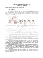 giáo trình Sinh Học Phân Tử