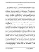 Hoàn thiện công tác hạch toán bán hàng và xác định kết quả bán hàng tại Công ty TNHH thương mại Thép Đồng Tâm