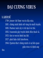 đại cương về VIRUS miễn dịch học